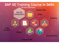 online-sap-sd-certification-in-delhi-sla-consultants-best-erp-training-institute-100-job-support-january-23-offer-small-0