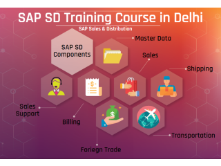 Online SAP SD Certification in Delhi, SLA Consultants, Best ERP Training Institute, 100% Job Support, January 23, Offer ,