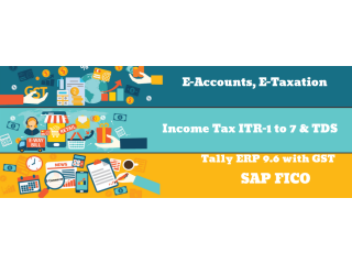 Accounting Course in Delhi, Preet Vihar, SLA Taxation Classes, SAP FICO, Tally, GST Training Certification,