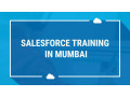 salesforce-training-in-mumbai-small-0