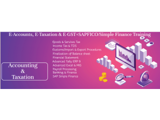 Accounting Course in Laxmi Nagar, Delhi, Noida, Best Offer by SLA Institute, Tally, GST & SAP FICO Certification with 100% Job,