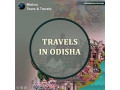 are-you-in-search-of-a-reliable-odisha-tours-and-travels-agency-in-bhubaneswar-small-0