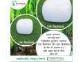 sugarcane-silage-small-0