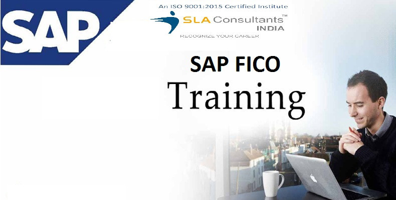 best-sap-fico-certification-in-delhi-kirti-nagar-sla-institute-accounting-tally-gst-course-with-100-job-guarantee-big-0