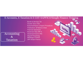 Accounting Training in Delhi at SLA Institute with Free Tally, GST, SAP FICO Certification, 100% Job Placement