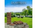 cow-dung-cakes-in-uttar-pradesh-small-0