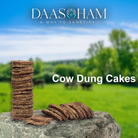 cow-dung-cakes-in-uttar-pradesh-big-0