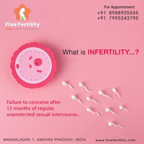 best-ivf-centres-in-vijayawada-big-0