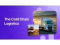 discover-efficient-cold-chain-logistics-solutions-in-visakhapatnam-with-reefer-expertise-small-0