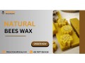 aravali-honey-your-trusted-beeswax-suppliers-for-quality-and-sustainability-small-0