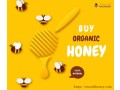 the-best-pure-and-organic-honey-manufacturer-aravali-honey-small-0