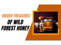 trusted-verified-organic-wild-forest-honey-manufacturers-small-0