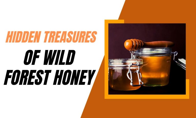 trusted-verified-organic-wild-forest-honey-manufacturers-big-0