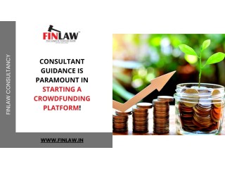 Consultant guidance is paramount in Starting a crowdfunding platform!