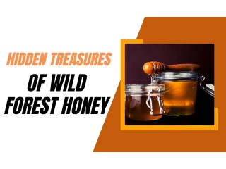 Premier Wild Forest Honey Manufacturers: Nature's Finest Elixir Crafted with Excellence