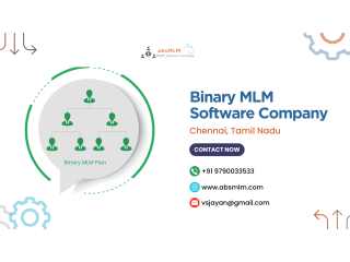 Binary MLM software company Chennai, Tamil Nadu