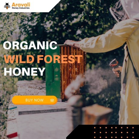 leading-wild-forest-honey-manufacturers-aravali-honey-industries-big-0