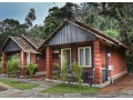 coorg-comforts-top-picks-for-the-ultimate-stay-experience-small-0