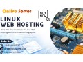onlive-server-offers-comprehensive-linux-web-hosting-solutions-for-all-small-0