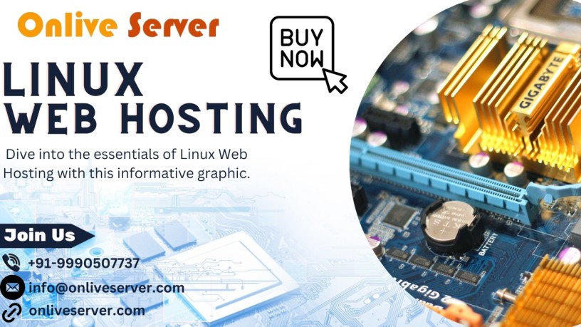 onlive-server-offers-comprehensive-linux-web-hosting-solutions-for-all-big-0