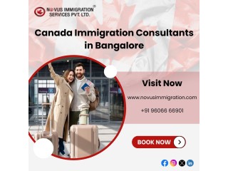 Novus Immigration: Your Trusted Partner in the Immigration Process