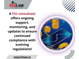 A FIU consultant offers ongoing support, monitoring, and updates to ensure continued compliance with evolving regulations!