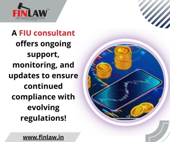 a-fiu-consultant-offers-ongoing-support-monitoring-and-updates-to-ensure-continued-compliance-with-evolving-regulations-big-0