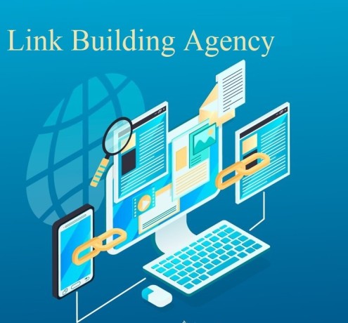 hire-link-building-agency-in-india-big-0