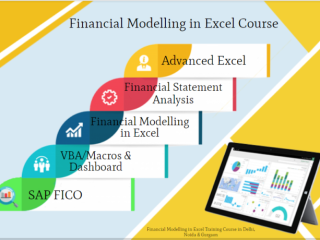 Financial Modeling Certification Course in Delhi, SLA 110099.