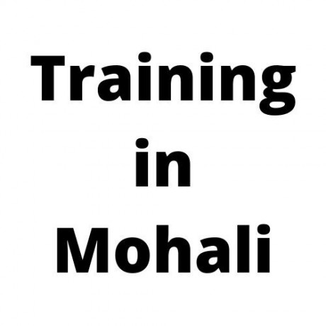 training-in-mohali-big-0