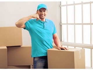 Top Professional Packers and movers in Hadapsar