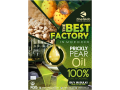 prickly-pear-oil-wholesaler-and-exporter-small-0
