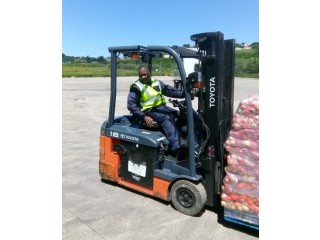 APPEALING FORKLIFT OPERATOR TRAINING COURSES IN RUNDU+2776 956 3077