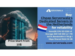 Buy Cheap Serverwalas Dedicated Servers in the Netherlands for reliability