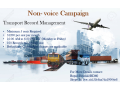 non-voice-campaign-small-0