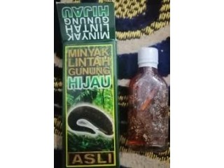 Minyak Lintah Gunung Hijau Oil in Pakistan 03055997199 Karachi