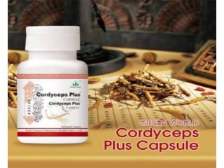 Cordyceps Plus Capsule Price in Pakistan 03008786895