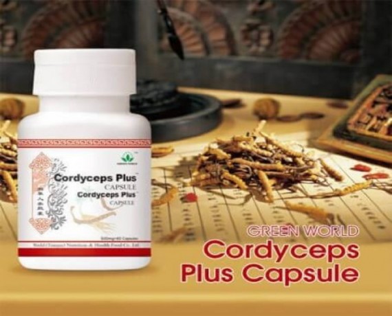 cordyceps-plus-capsule-price-in-pakistan-03008786895-big-0