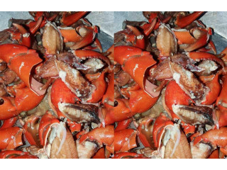 Crabbing At Arabian Sea Karachi