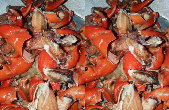 crabbing-at-arabian-sea-karachi-big-0