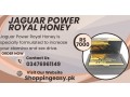 jaguar-power-royal-honey-price-in-pakistan-small-0