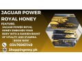 jaguar-power-royal-honey-price-in-pakistan-small-0