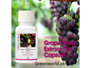 Grape Seed Extract Plus Capsule in Larkana | 03008786895 | Order Now