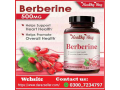 healthy-way-berberine-supplement-in-pakistan-03007234797-order-now-small-0