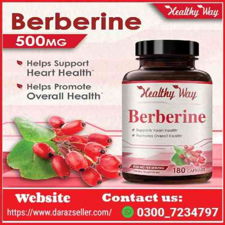 healthy-way-berberine-supplement-in-pakistan-03007234797-order-now-big-0