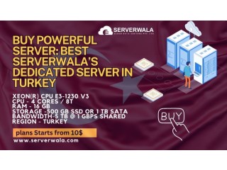 Buy Powerful Server: Best Serverwalas Dedicated Server in Turkey