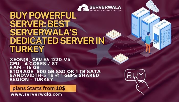 buy-powerful-server-best-serverwalas-dedicated-server-in-turkey-big-0