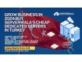 grow-business-in-2024buy-serverwalas-cheap-dedicated-servers-in-turkey-small-0