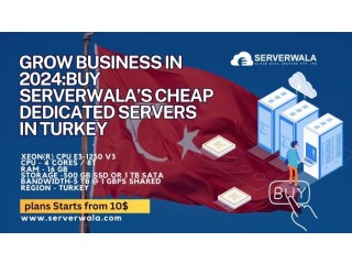 Grow Business in 2024:Buy Serverwalas Cheap Dedicated Servers in Turkey