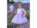 get-the-perfect-dress-from-the-baby-girl-party-dresses-small-0